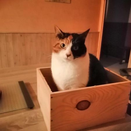 Grande Chambre D'Hote Proche Disneyland Et Parc Des Felins Guérard Eksteriør bilde
