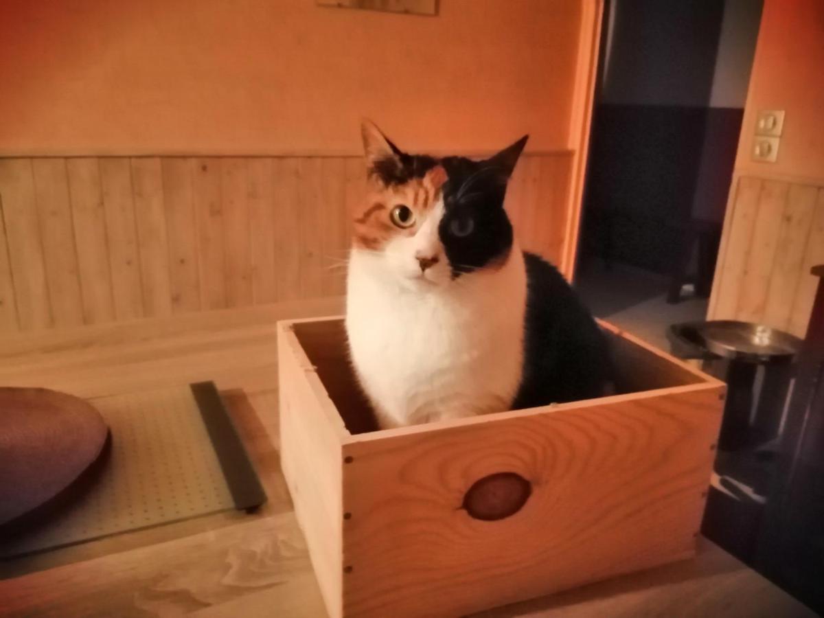 Grande Chambre D'Hote Proche Disneyland Et Parc Des Felins Guérard Eksteriør bilde